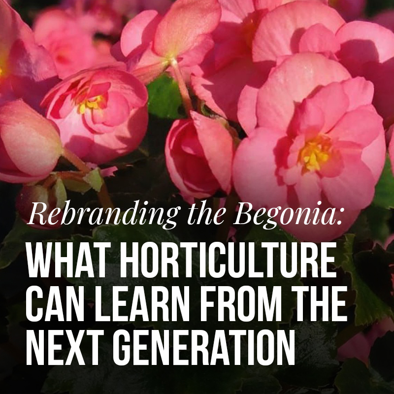 Rebranding the Begonia: What Horticulture Can Learn from the Next Generation